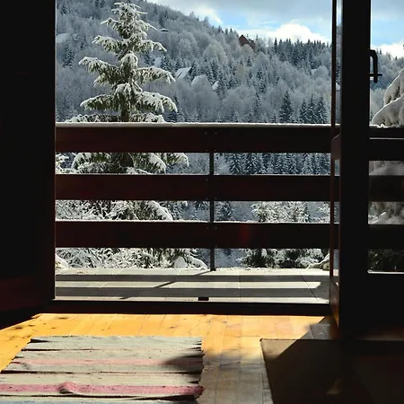 Apartment &