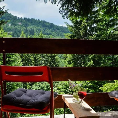 & Apartment Kopaonik