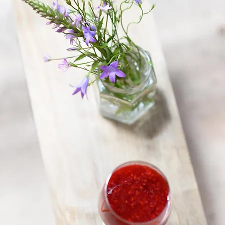 Apartamento & Kopaonik