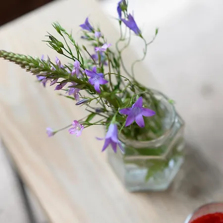 Appartamento & Kopaonik