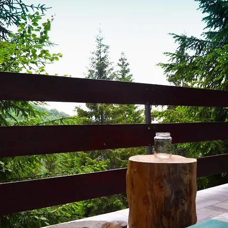 & Kopaonik