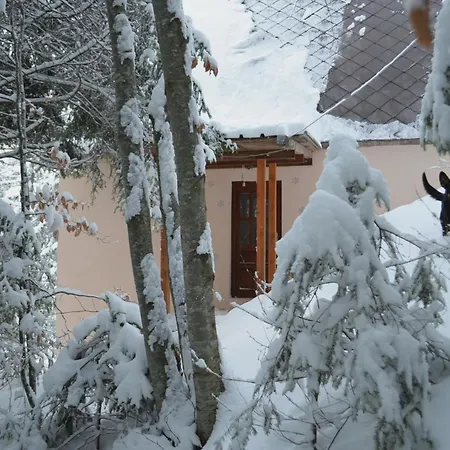 & * Kopaonik